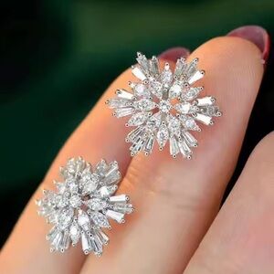 Radiant Silver Burst Earrings